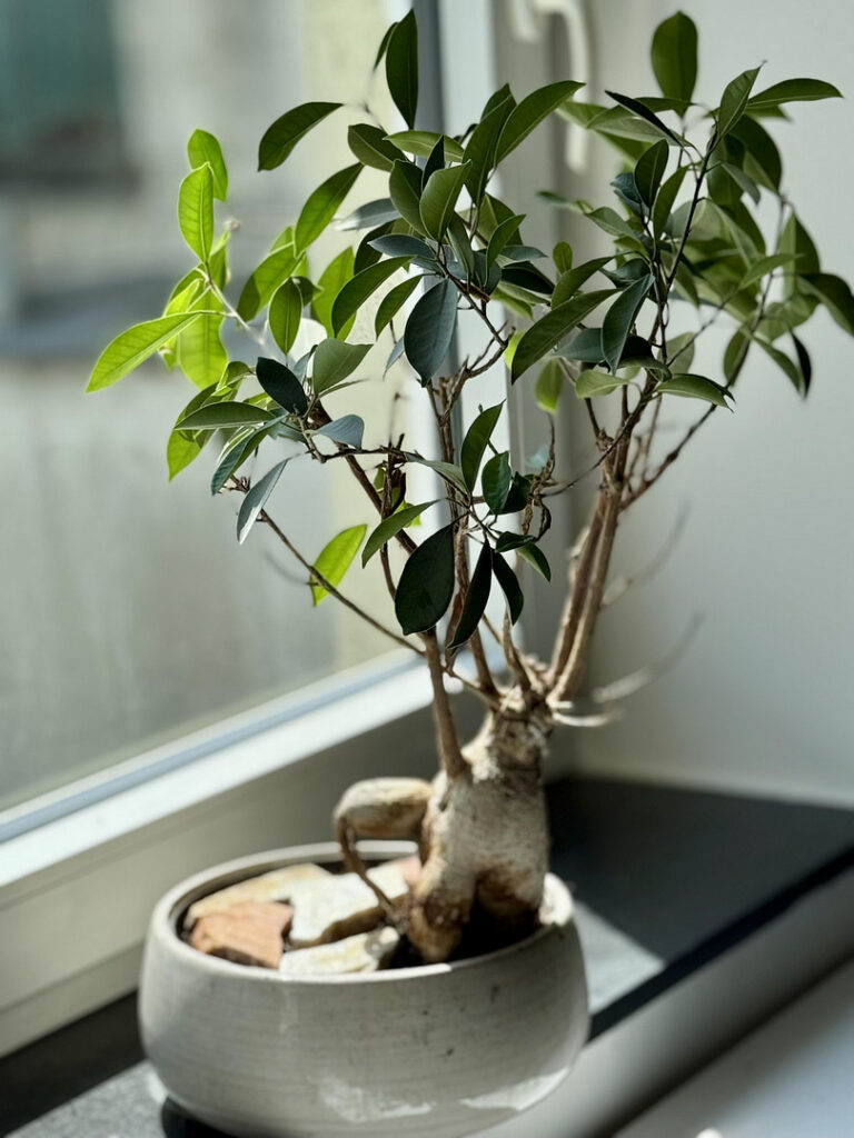 308-saint-julien-straße-salzburg14